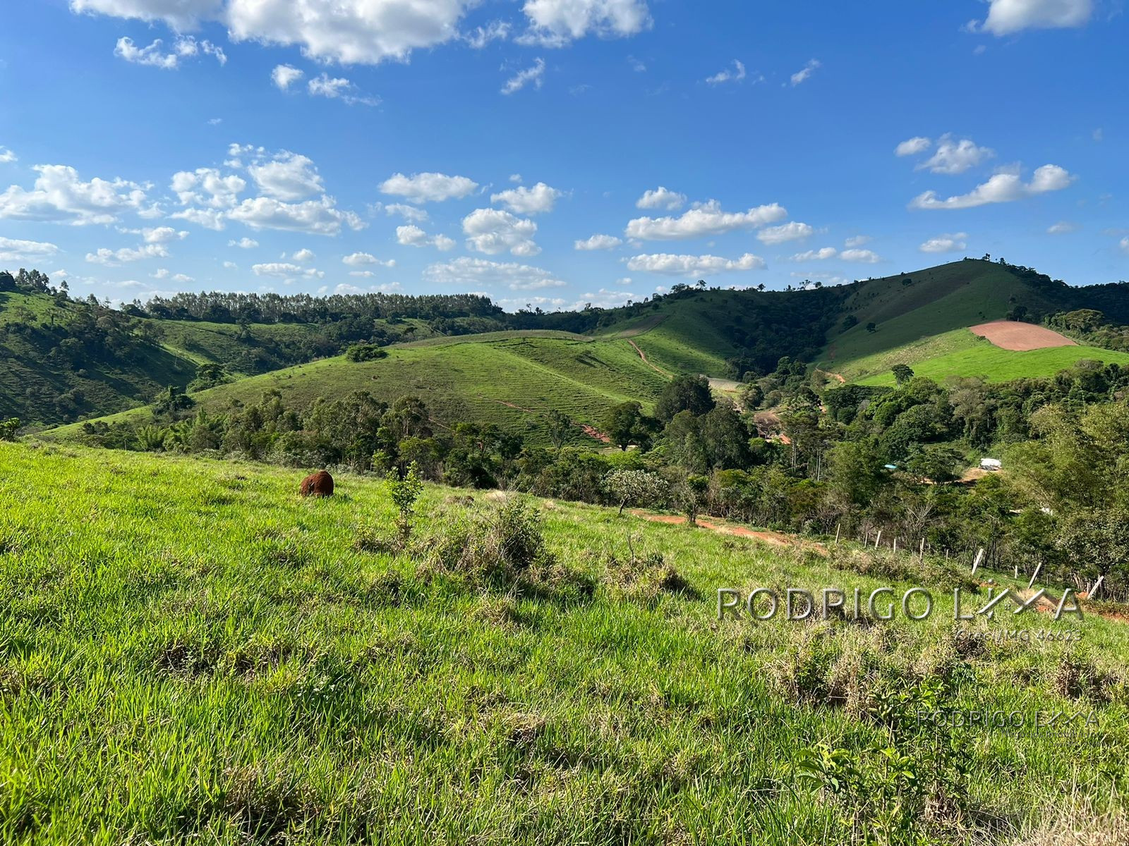 Área com linda vista para construção de chácara para venda a pouco mais de 5 minutos do centro de São Lourenço - MG.