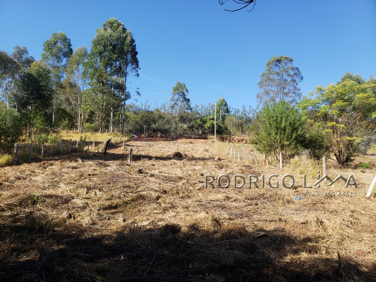 Lote para chácara a venda em Dom Viçoso - MG.