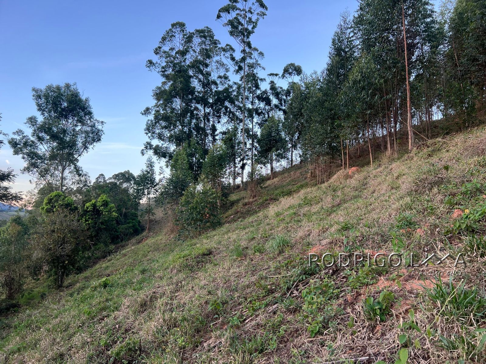Linda área para venda em Dom Viçoso - MG.