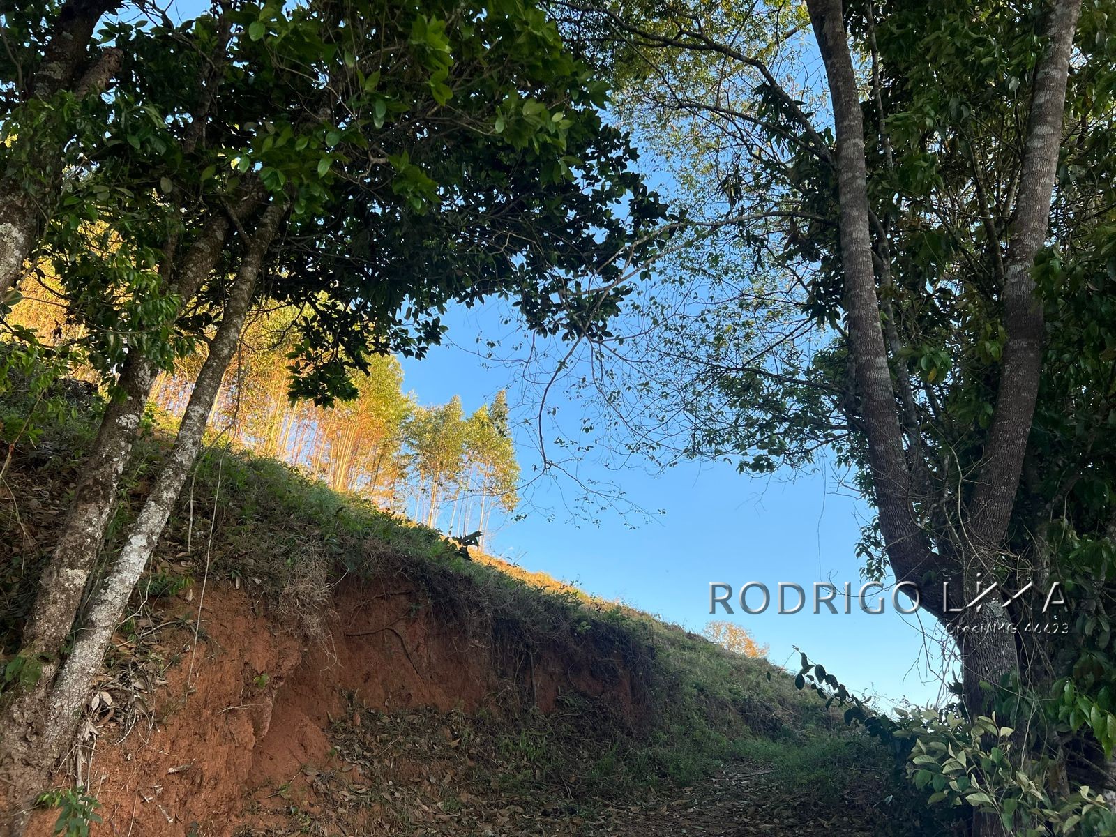 Linda área para venda em Dom Viçoso - MG.