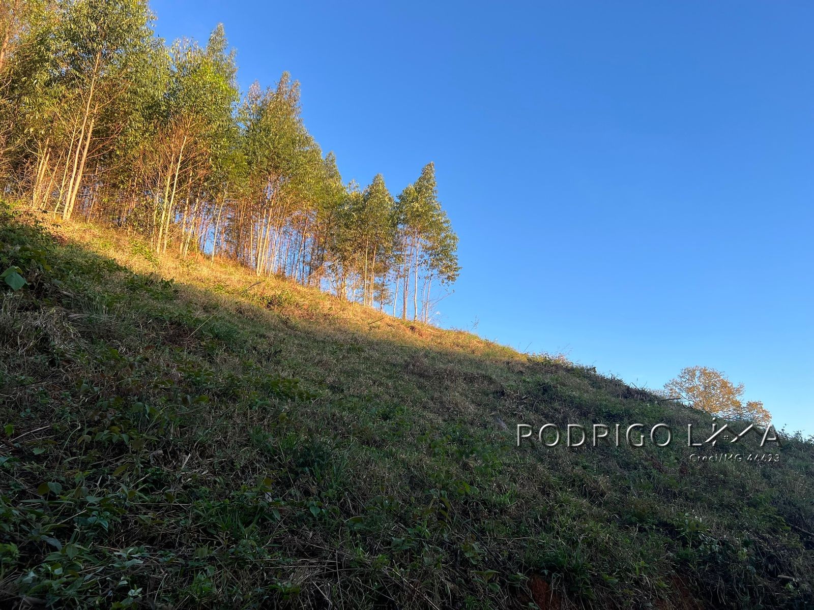 Linda área para venda em Dom Viçoso - MG.