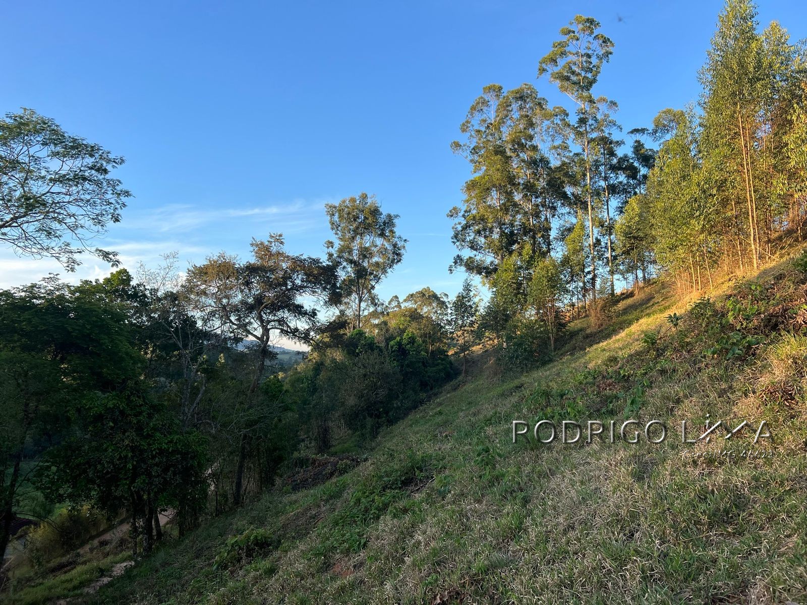 Linda área para venda em Dom Viçoso - MG.