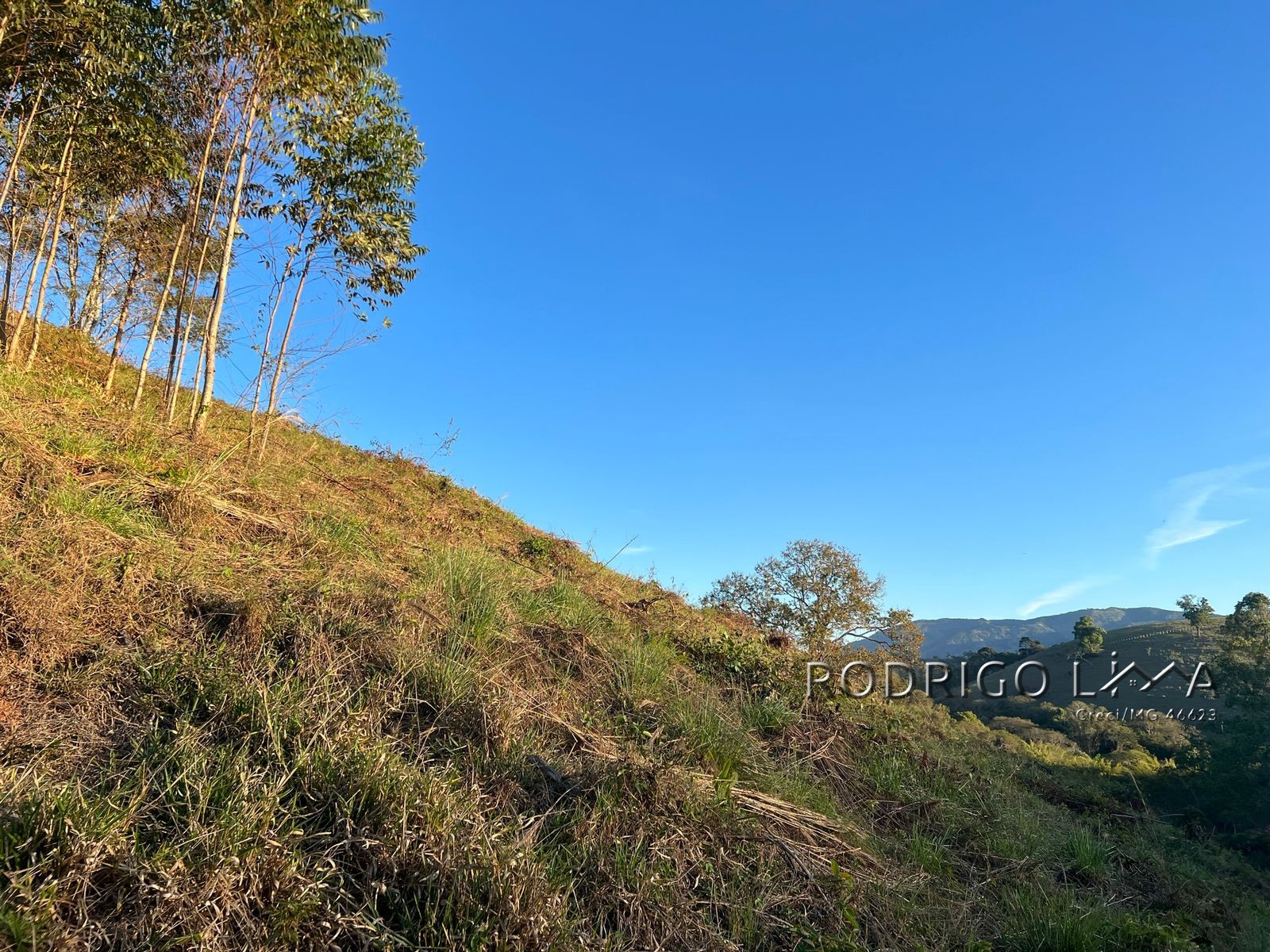 Linda área para venda em Dom Viçoso - MG.