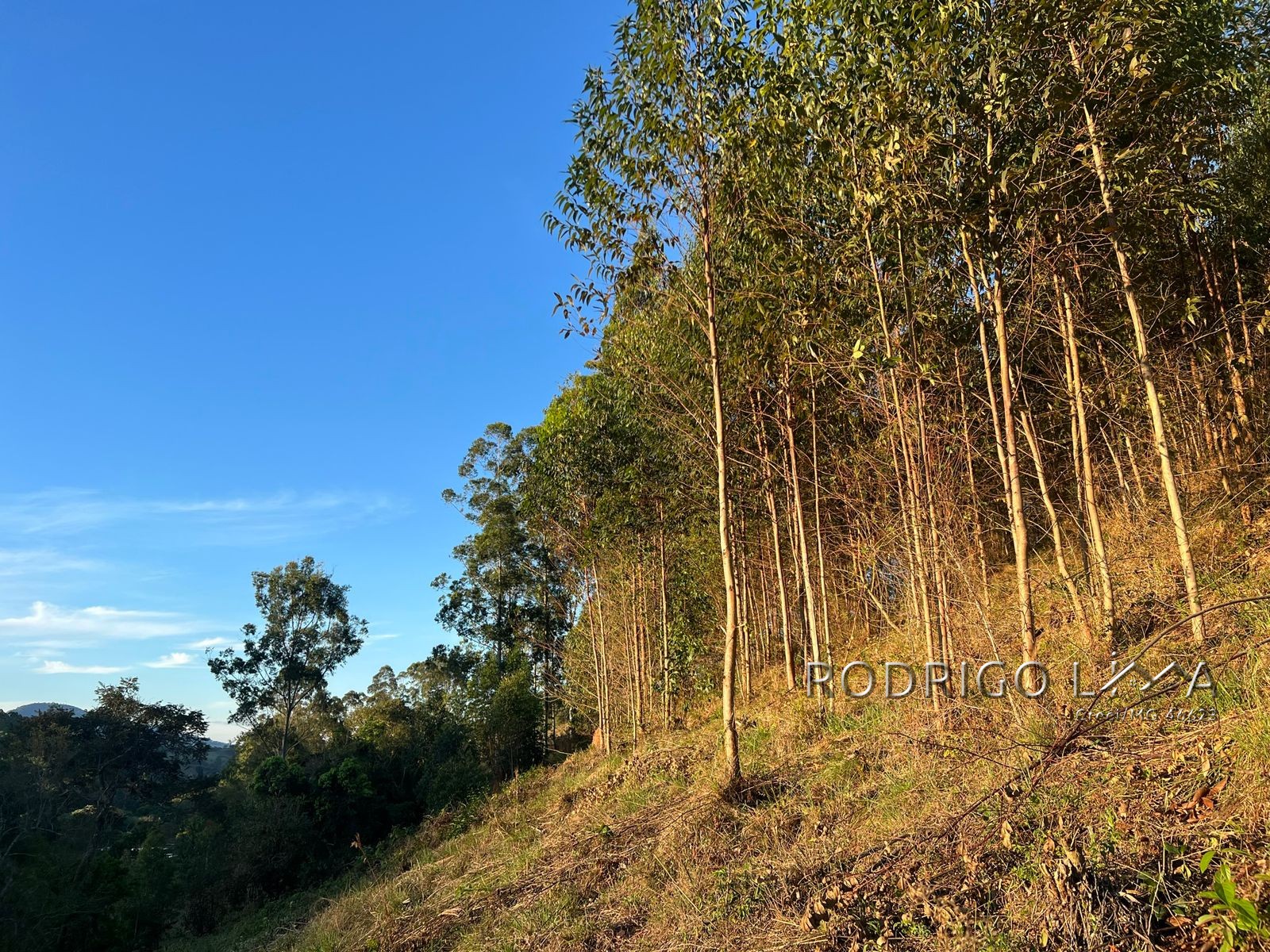 Linda área para venda em Dom Viçoso - MG.
