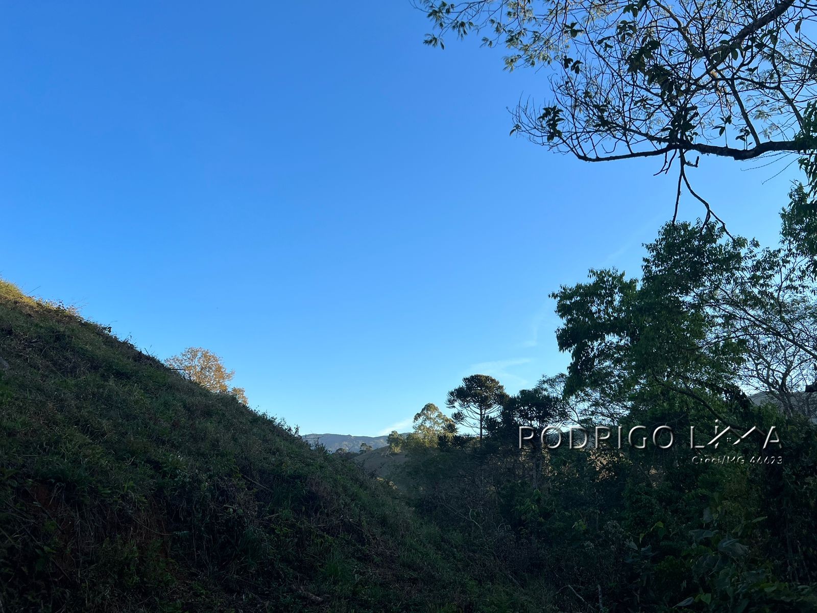 Linda área para venda em Dom Viçoso - MG.