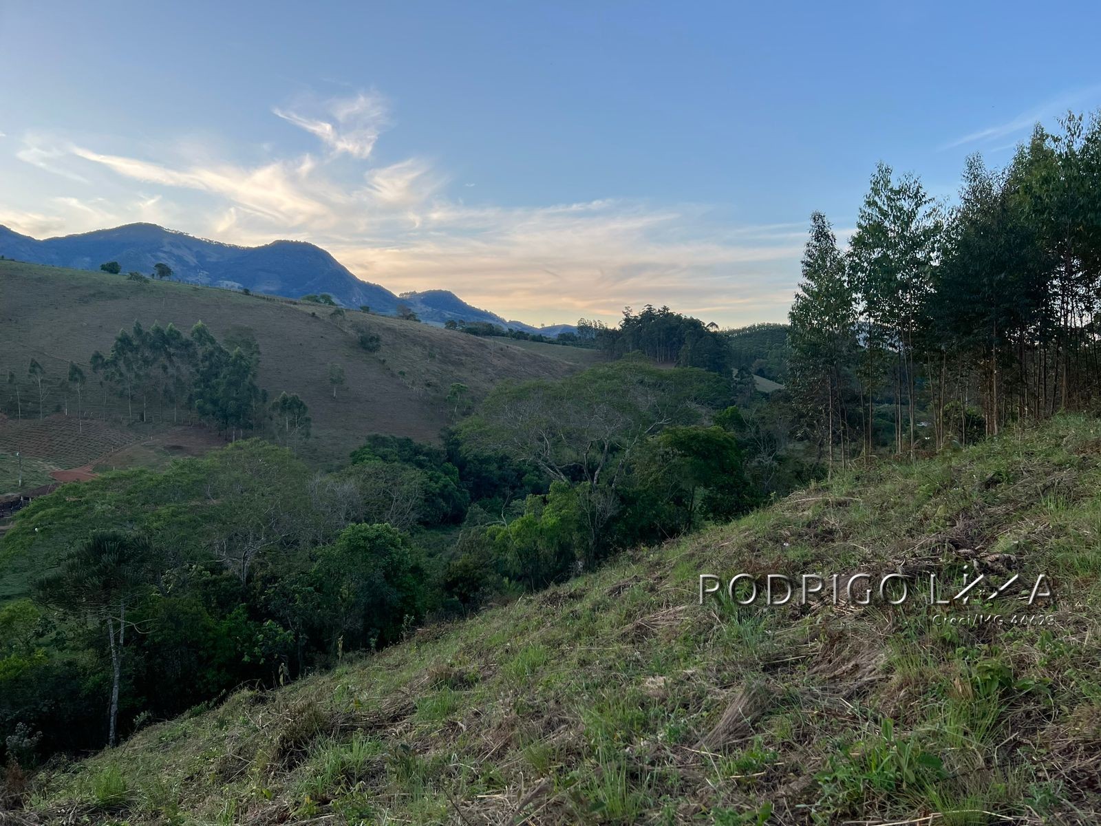 Linda área para venda em Dom Viçoso - MG.