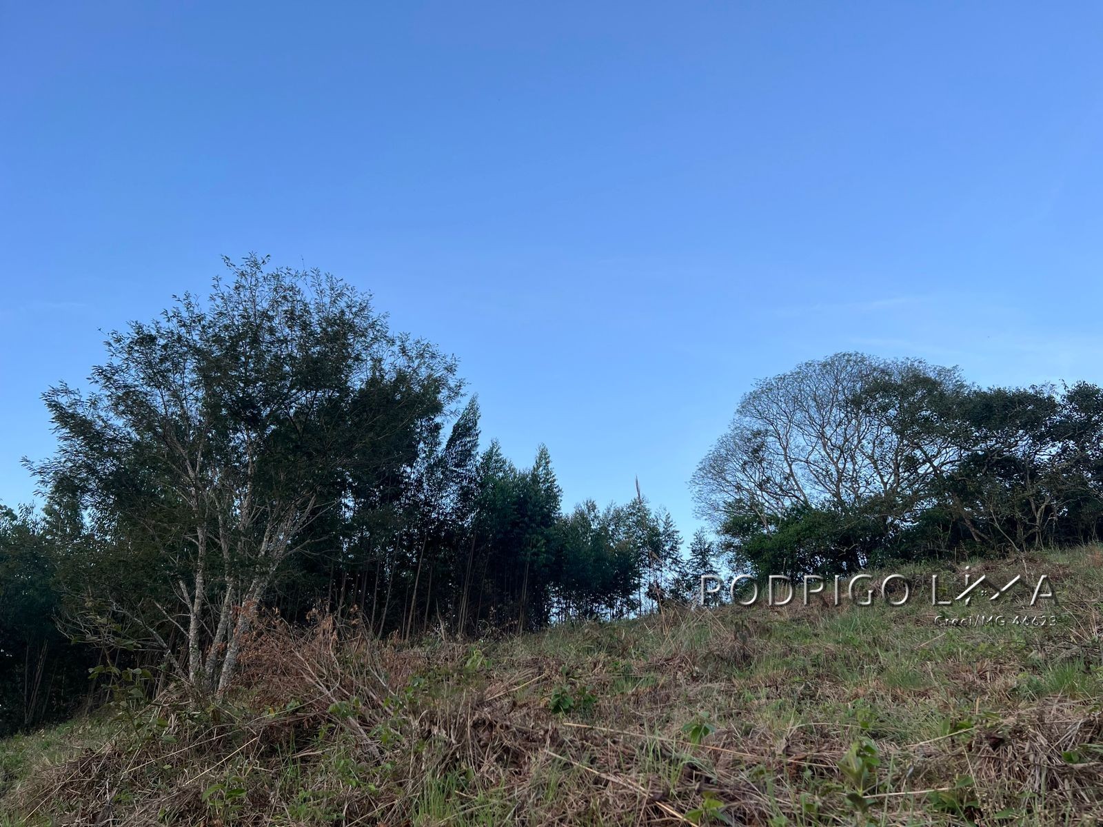 Linda área para venda em Dom Viçoso - MG.