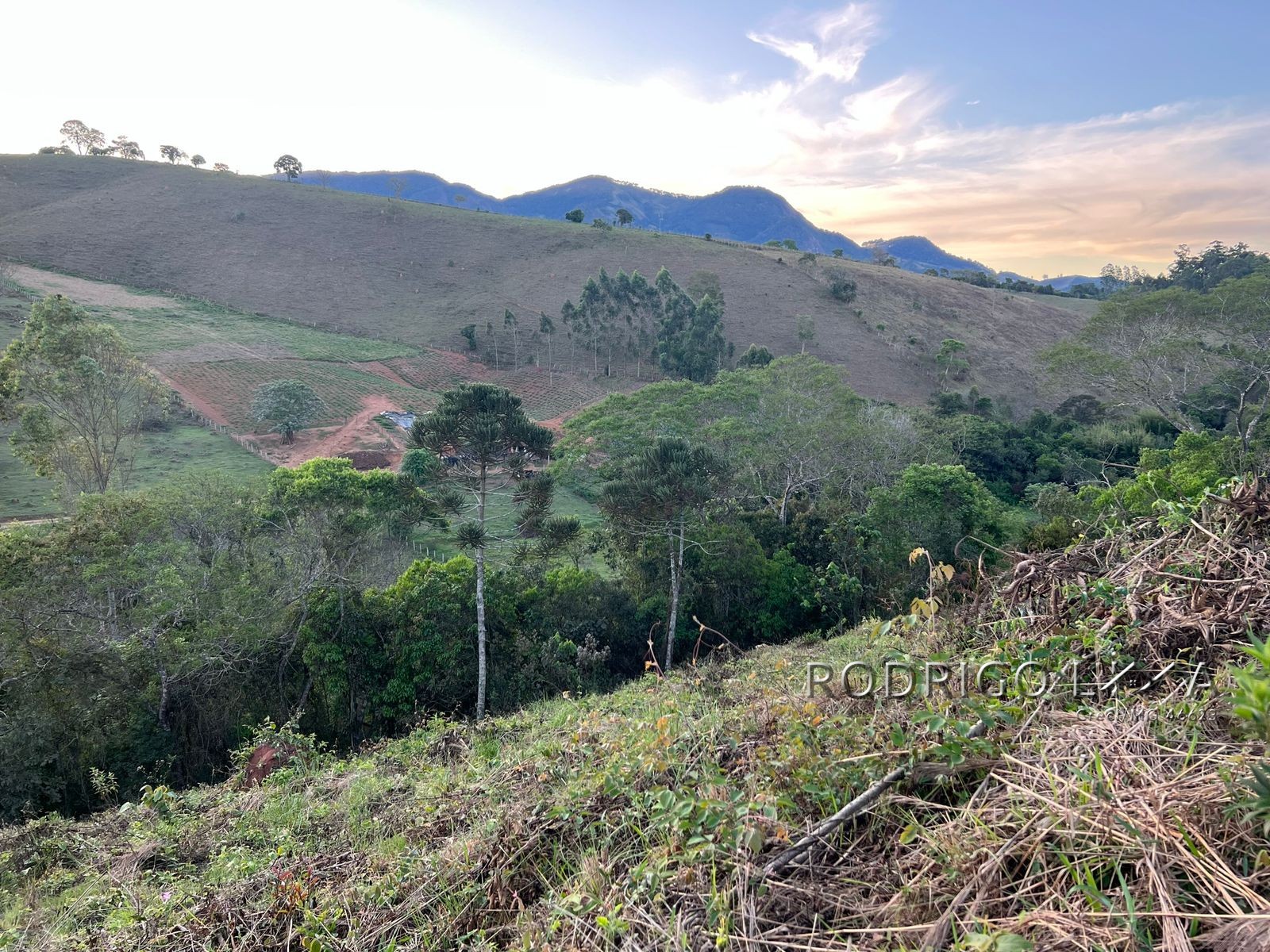 Linda área para venda em Dom Viçoso - MG.
