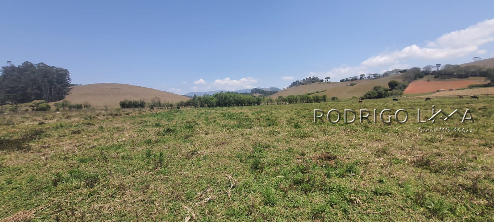 Linda área para venda em Dom Viçoso - MG.