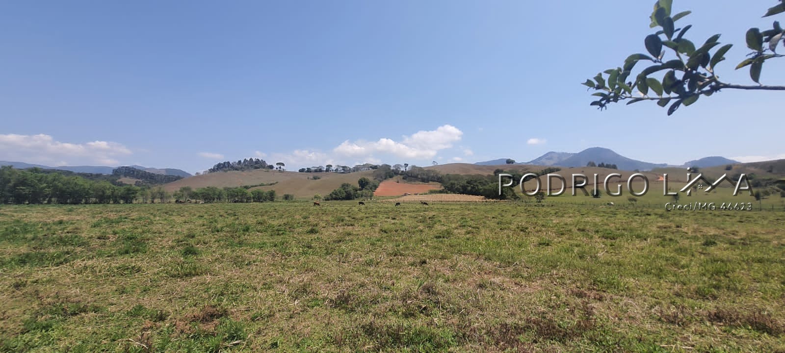 Linda área para venda em Dom Viçoso - MG.
