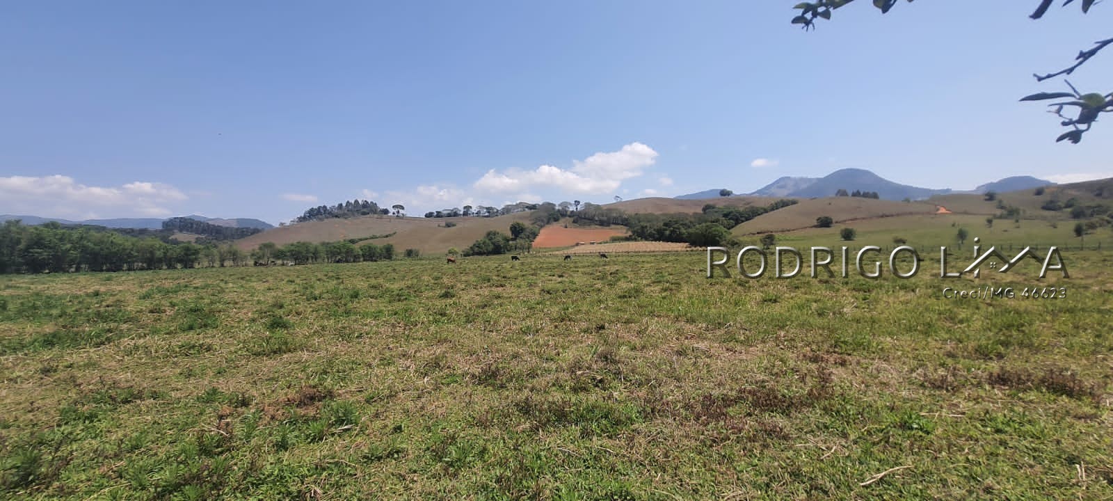 Linda área para venda em Dom Viçoso - MG.