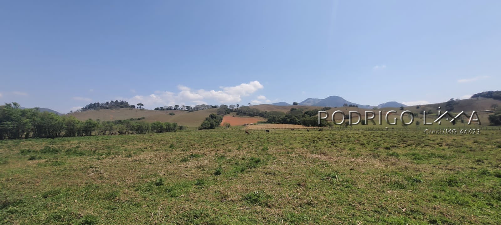 Linda área para venda em Dom Viçoso - MG.