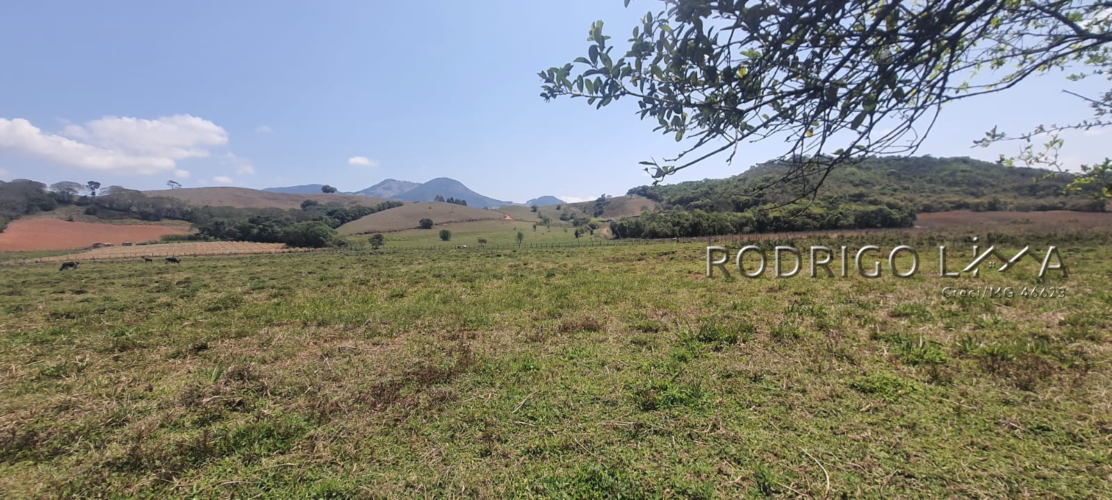 Linda área para venda em Dom Viçoso - MG.