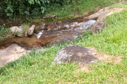 Área rural🌳 Oportunidade Imperdível: Sua Área Rural dos Sonhos em Dom Viçoso! 🌳  Está em busca de um lugar tranquilo,