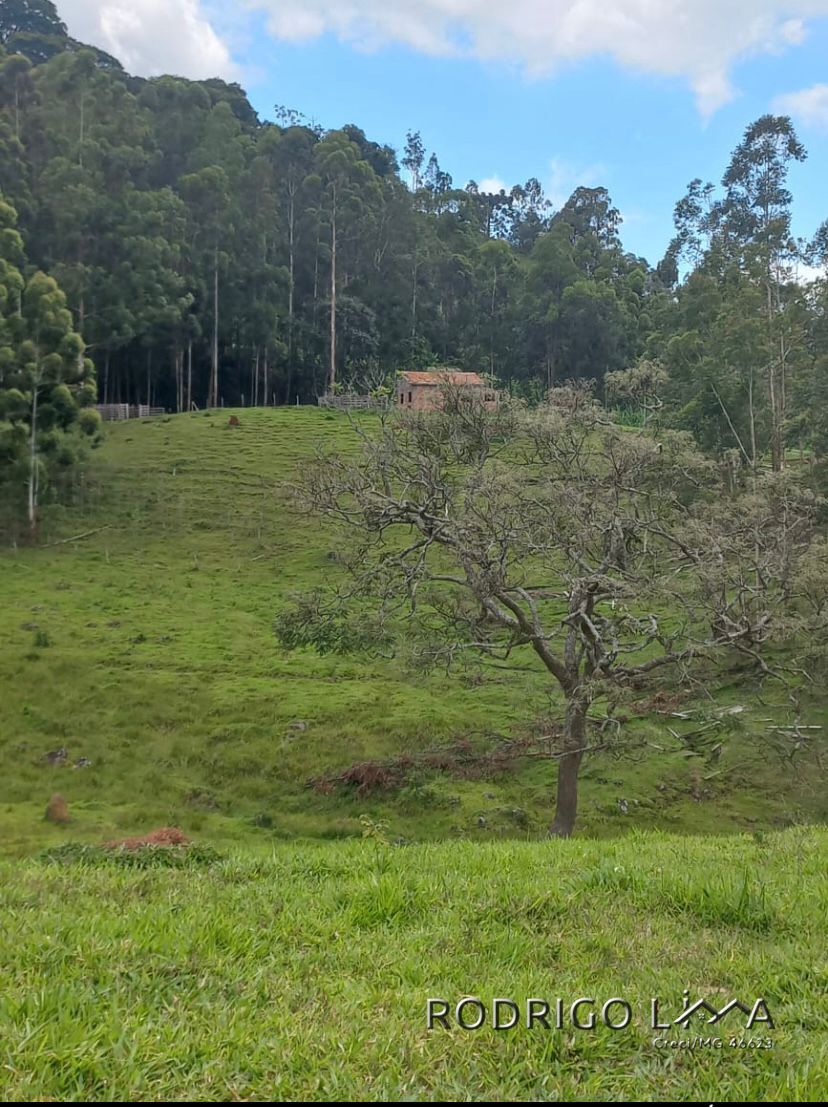 Área rural🌳 Oportunidade Imperdível: Sua Área Rural dos Sonhos em Dom Viçoso! 🌳  Está em busca de um lugar tranquilo,