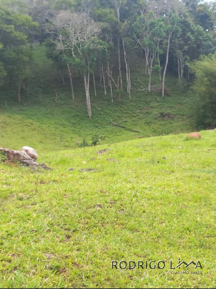 Área rural🌳 Oportunidade Imperdível: Sua Área Rural dos Sonhos em Dom Viçoso! 🌳  Está em busca de um lugar tranquilo,