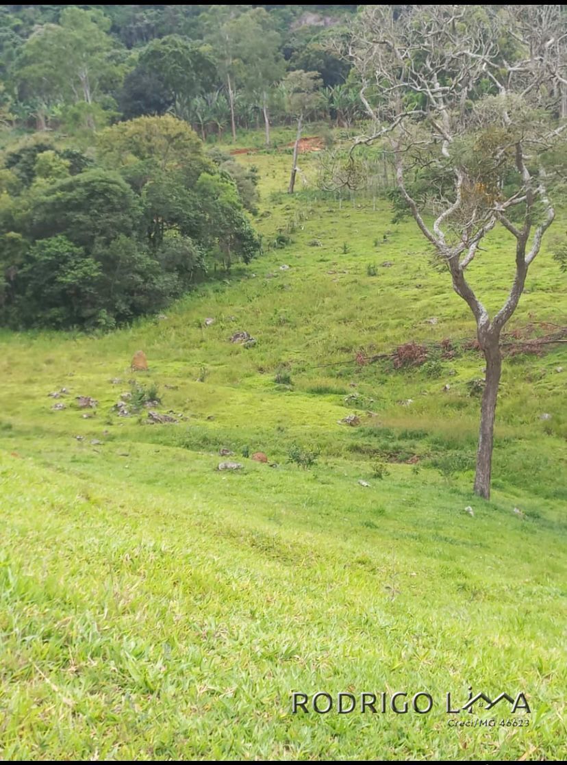Área rural🌳 Oportunidade Imperdível: Sua Área Rural dos Sonhos em Dom Viçoso! 🌳  Está em busca de um lugar tranquilo,