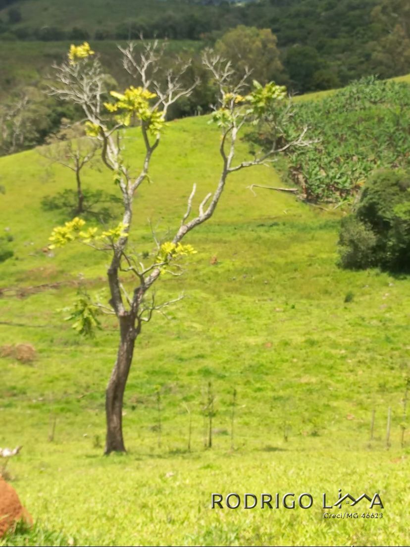 Área rural🌳 Oportunidade Imperdível: Sua Área Rural dos Sonhos em Dom Viçoso! 🌳  Está em busca de um lugar tranquilo,