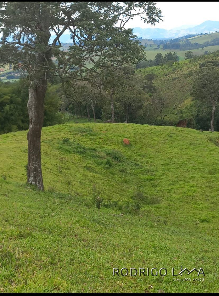 Área rural🌳 Oportunidade Imperdível: Sua Área Rural dos Sonhos em Dom Viçoso! 🌳  Está em busca de um lugar tranquilo,