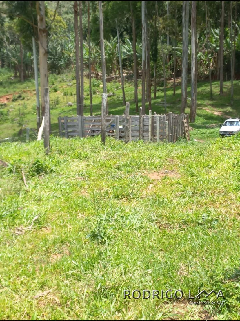 Área rural🌳 Oportunidade Imperdível: Sua Área Rural dos Sonhos em Dom Viçoso! 🌳  Está em busca de um lugar tranquilo,