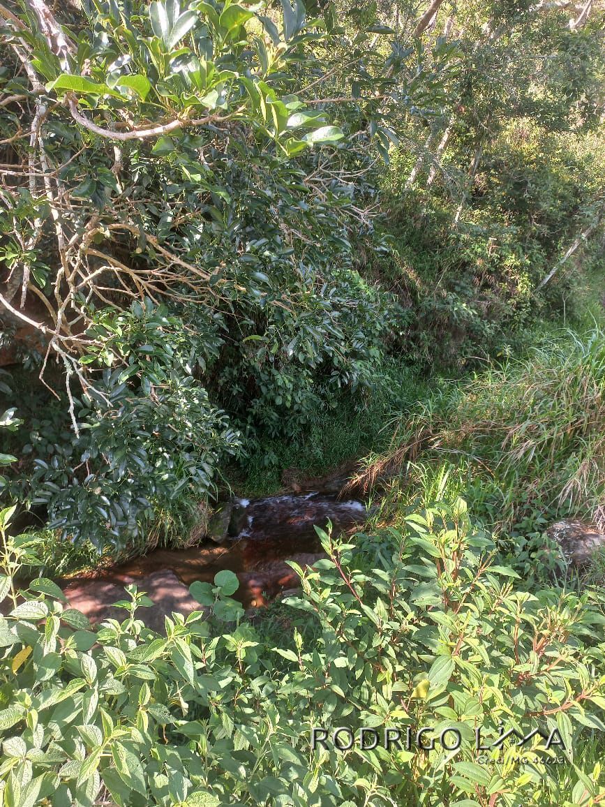 Área rural🌳 Oportunidade Imperdível: Sua Área Rural dos Sonhos em Dom Viçoso! 🌳  Está em busca de um lugar tranquilo,