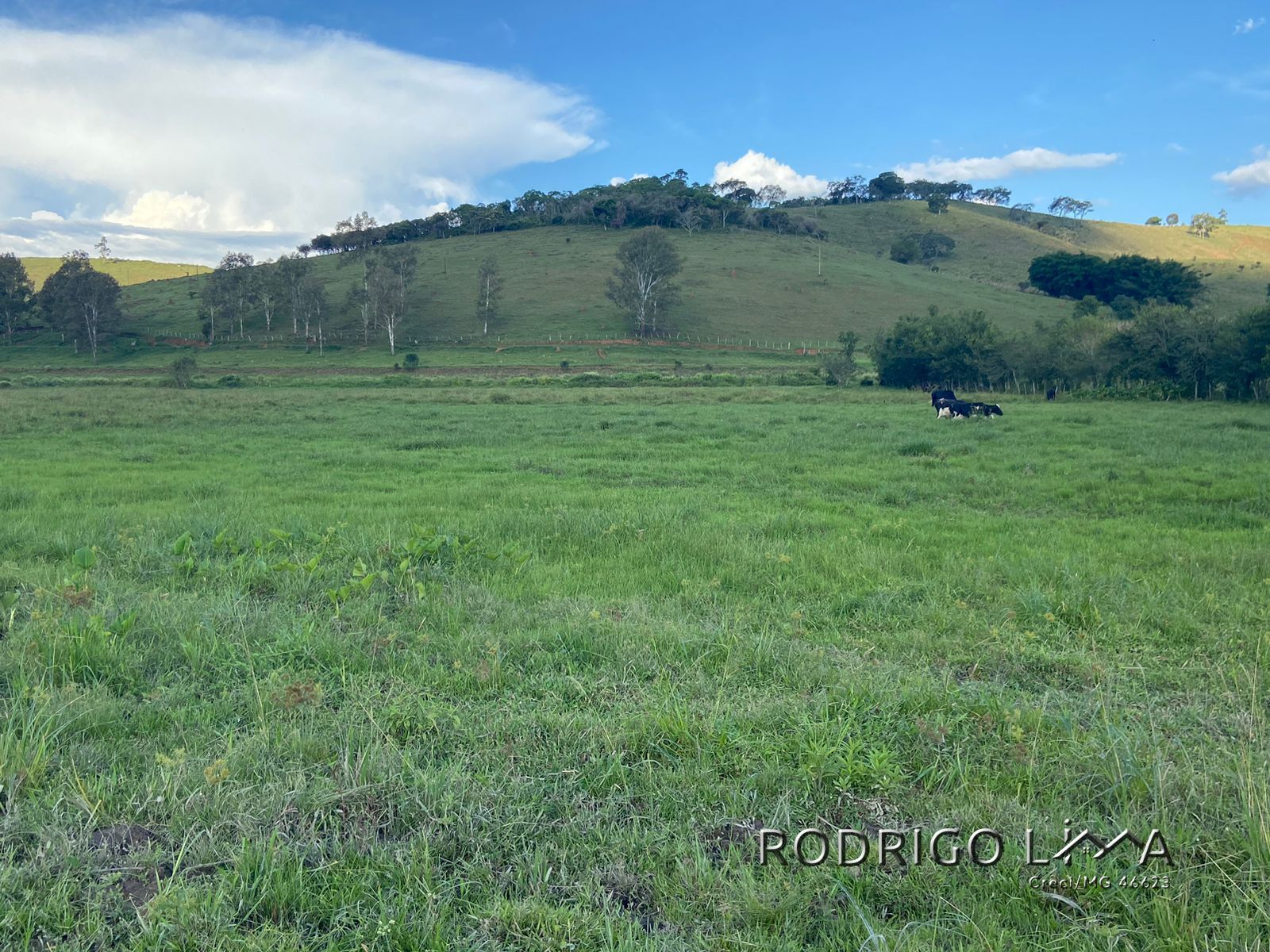 Linda área para venda em Dom Viçoso - MG.