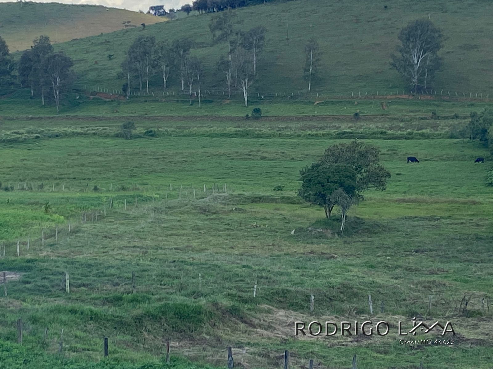Linda área para venda em Dom Viçoso - MG.
