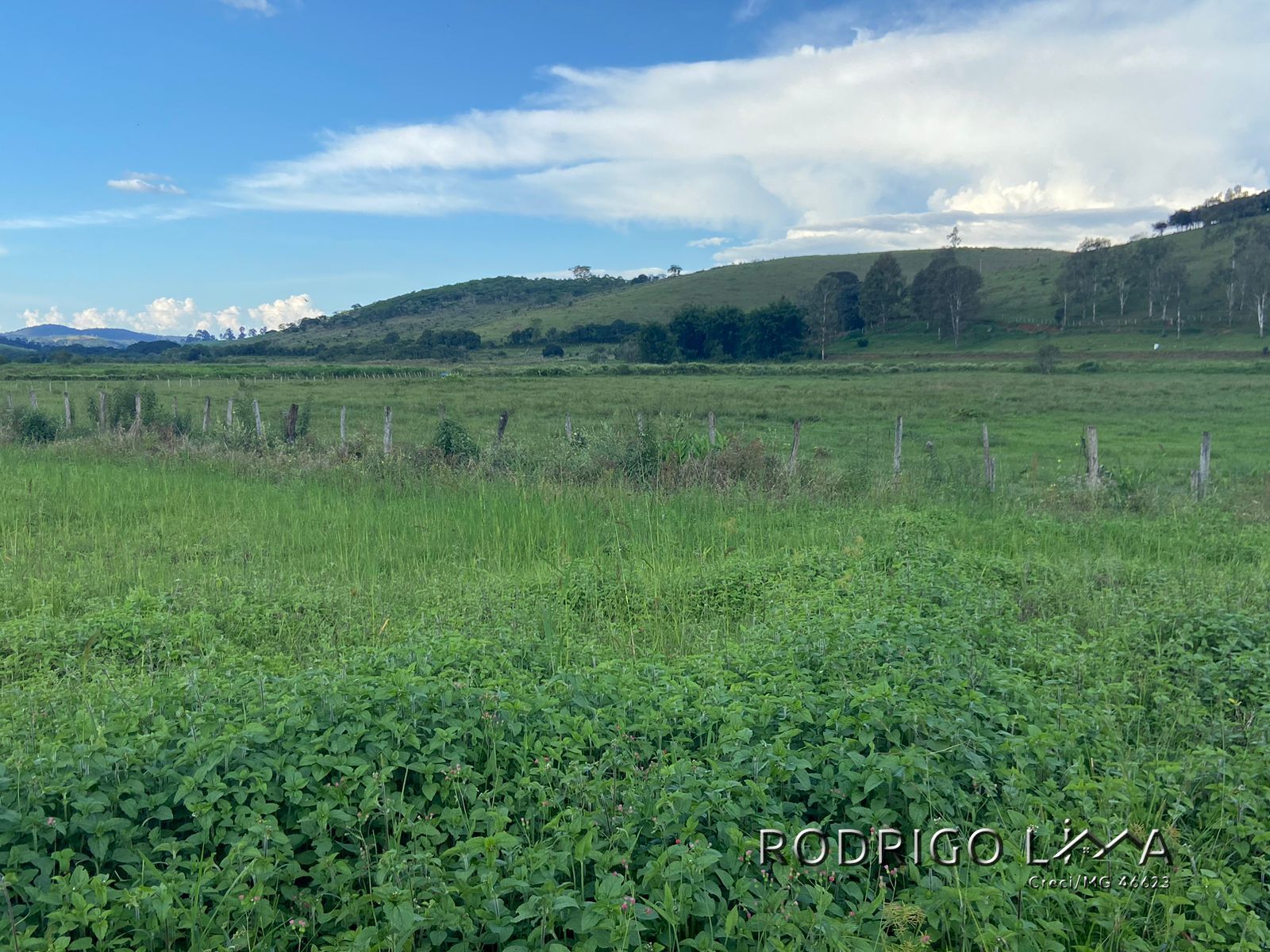 Linda área para venda em Dom Viçoso - MG.