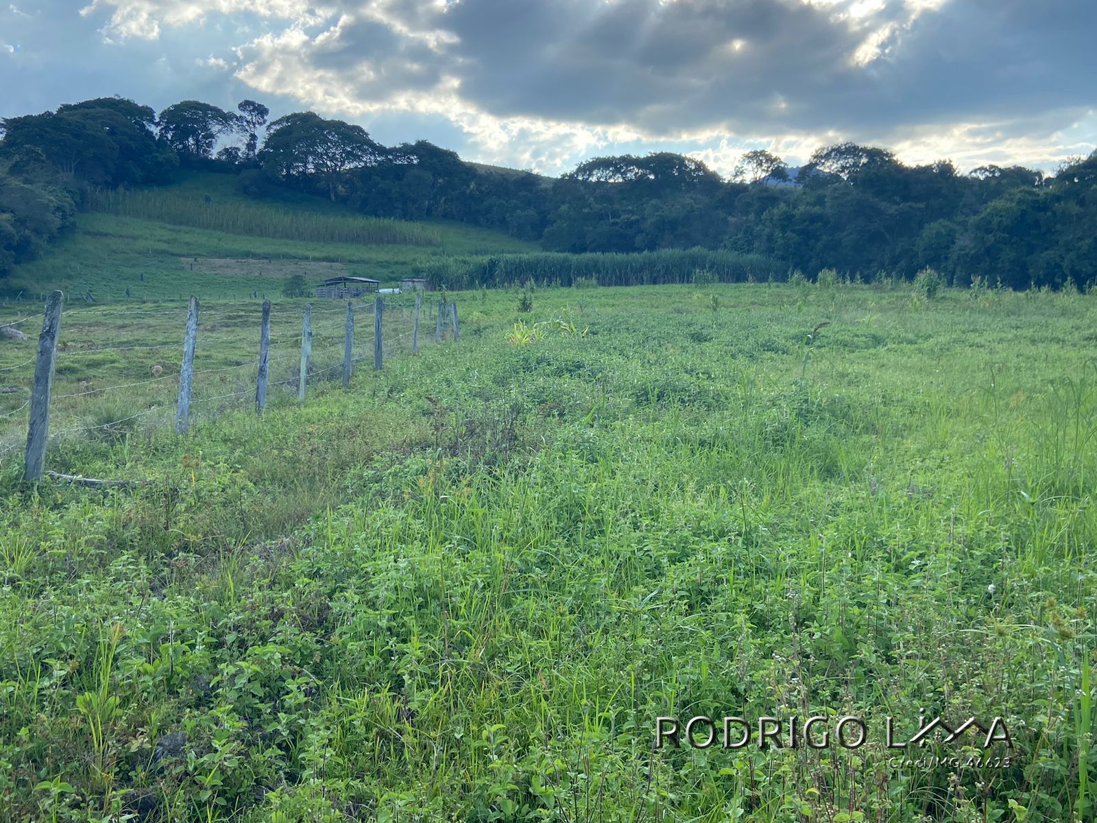 Linda área para venda em Dom Viçoso - MG.