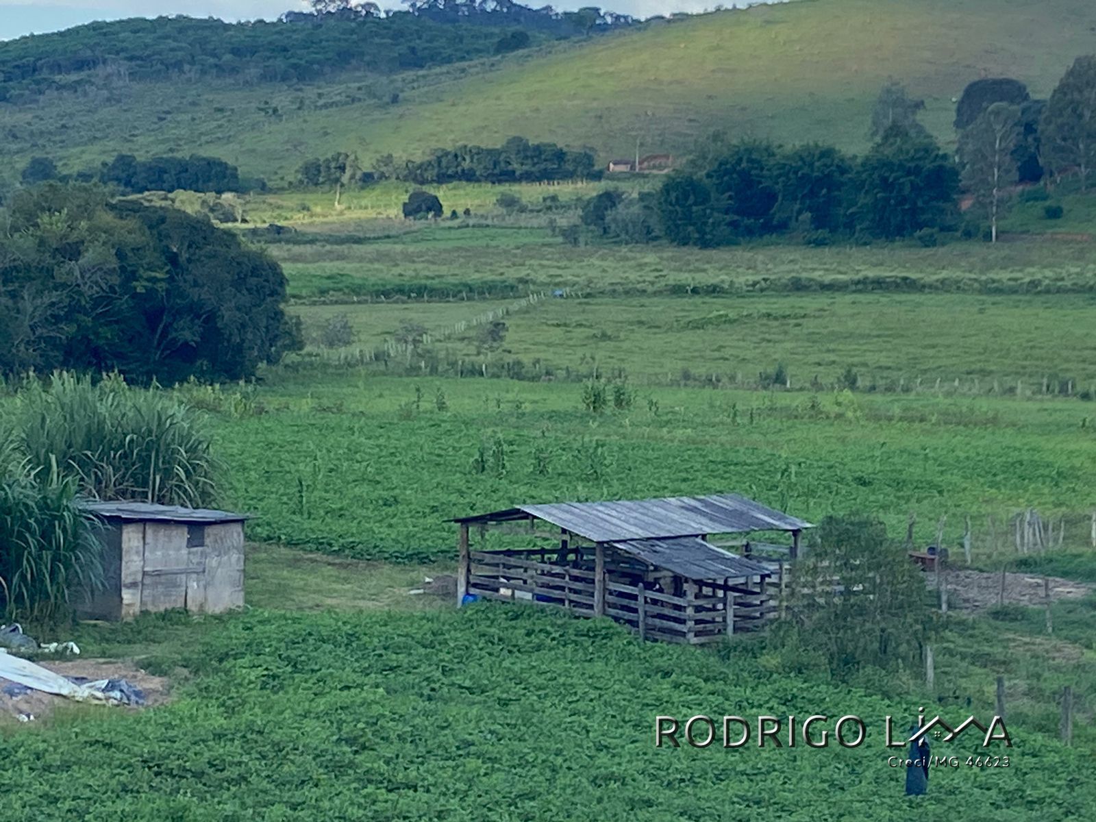 Linda área para venda em Dom Viçoso - MG.