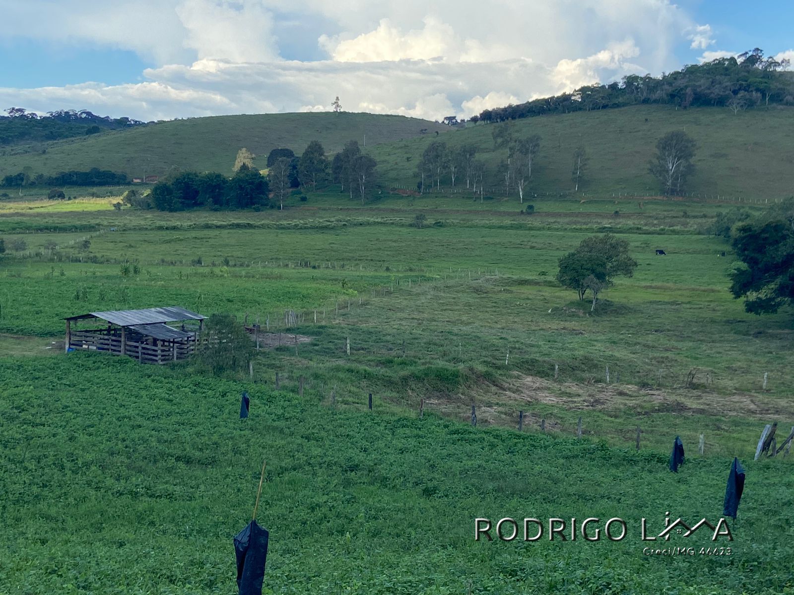 Linda área para venda em Dom Viçoso - MG.