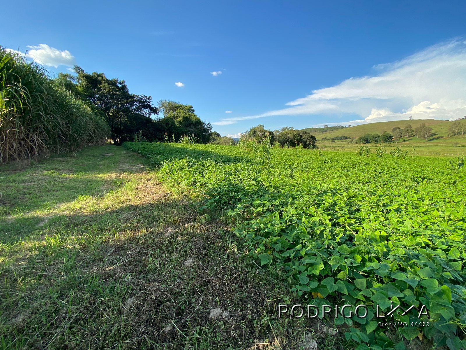 Linda área para venda em Dom Viçoso - MG.