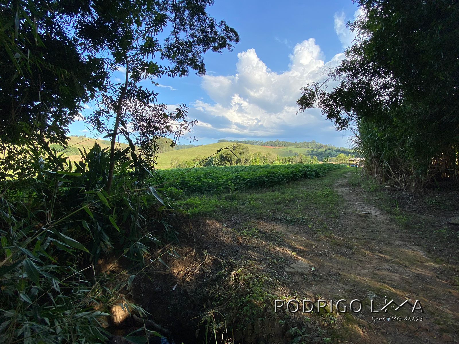 Linda área para venda em Dom Viçoso - MG.