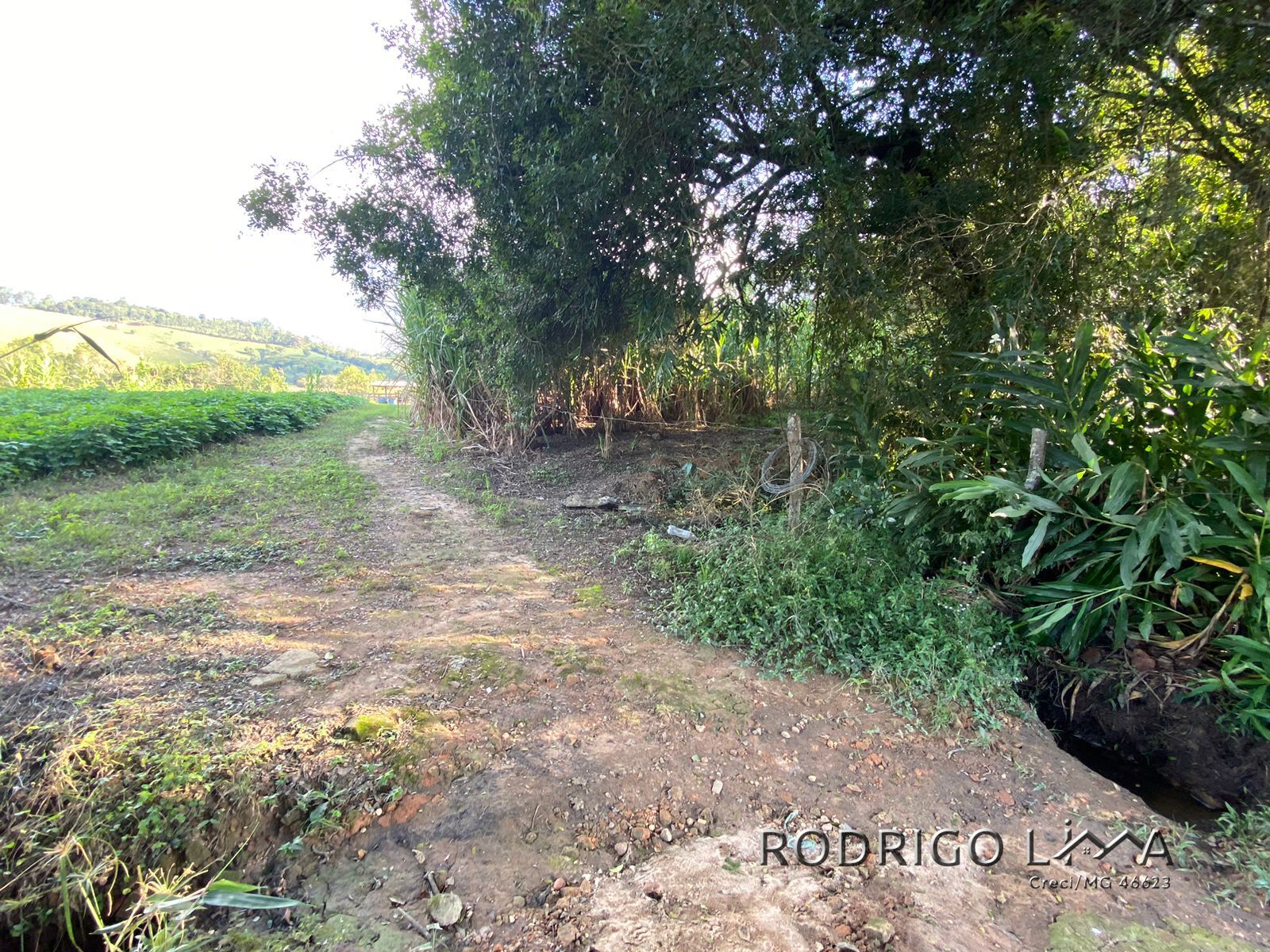 Linda área para venda em Dom Viçoso - MG.