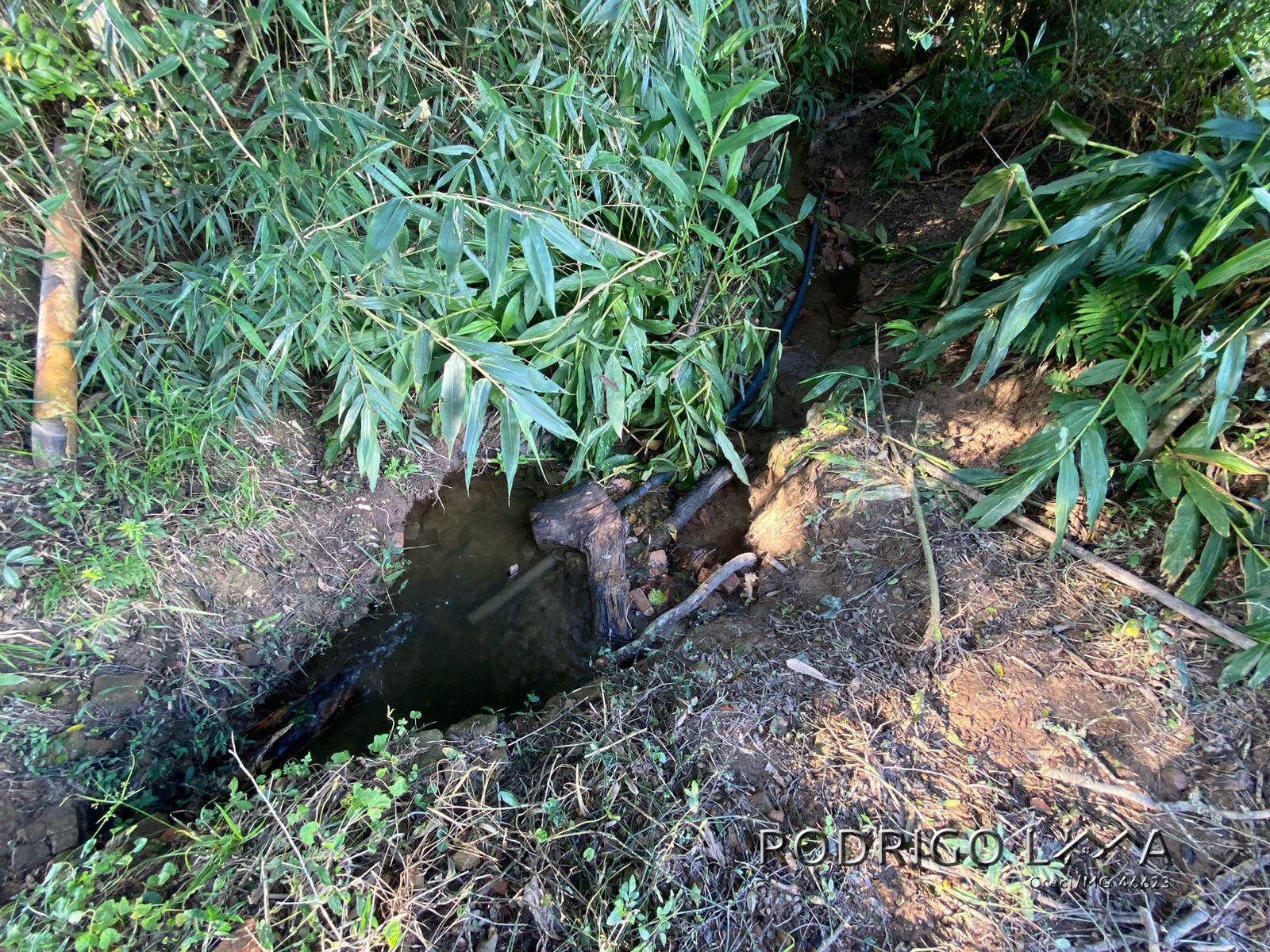 Linda área para venda em Dom Viçoso - MG.