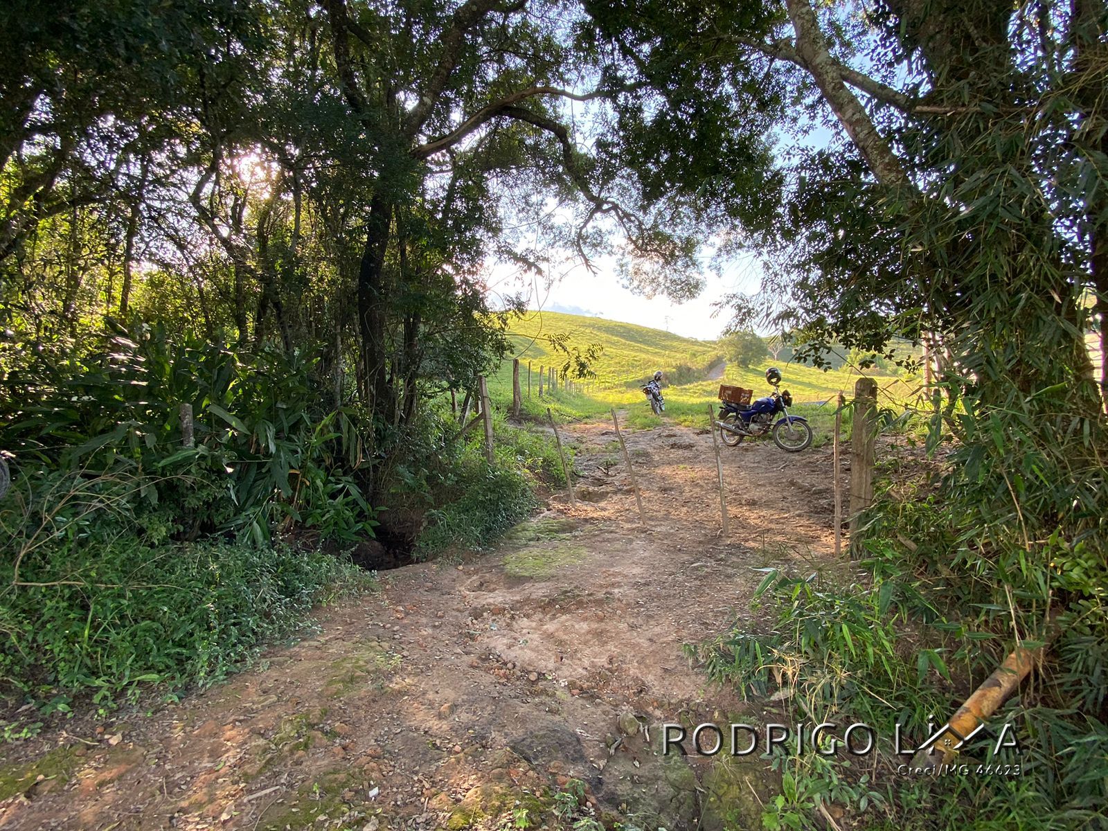 Linda área para venda em Dom Viçoso - MG.