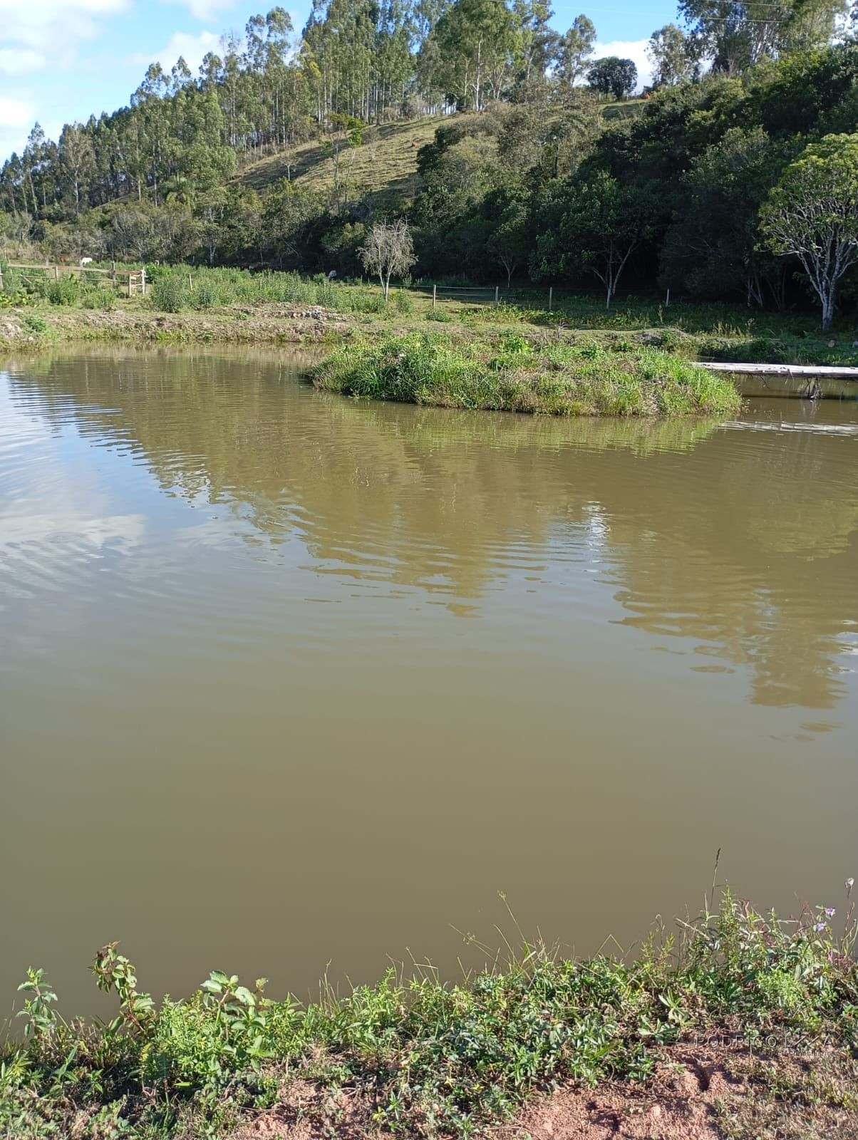 Lindo Sitio para venda próximo a São Lourenço - MG