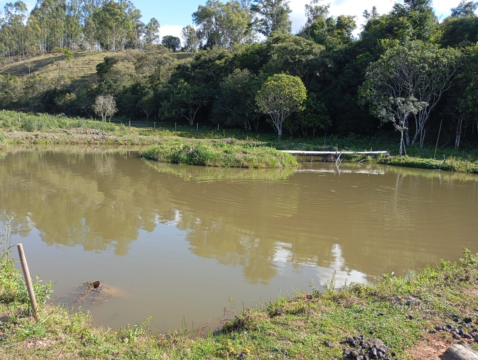 Lindo Sitio para venda próximo a São Lourenço - MG